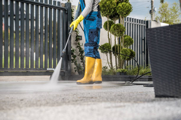 Best Residential Pressure Washing in Brentwood, MD